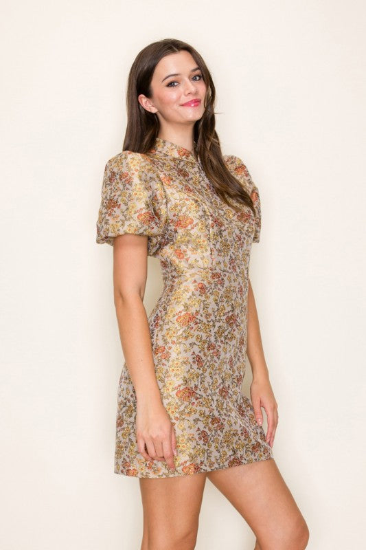 Mariella Antique Jacquard Dress
