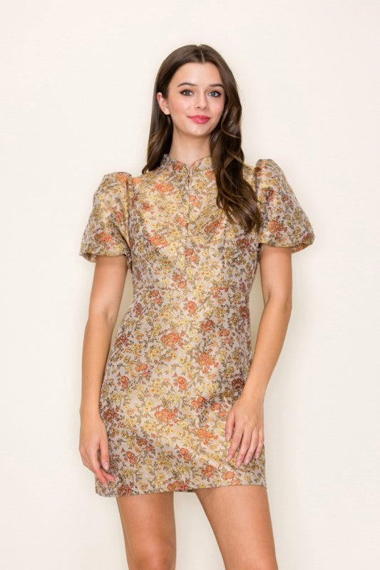 Mariella Antique Jacquard Dress
