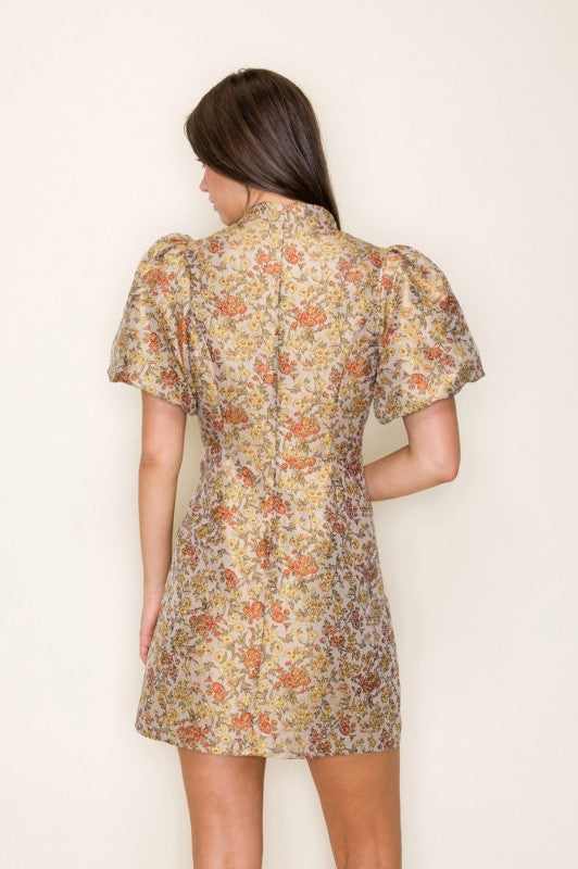 Mariella Antique Jacquard Dress
